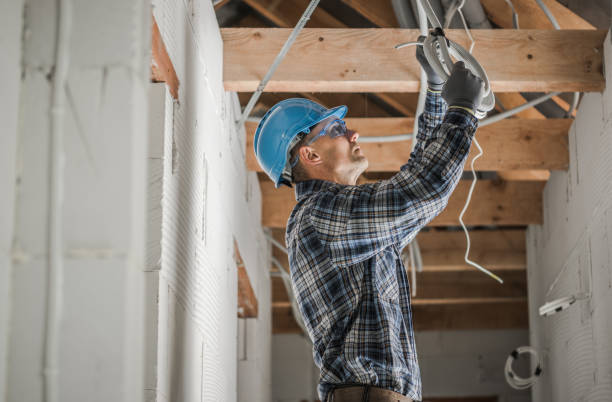 Best Electric Panel Repair  in Penrose, CO